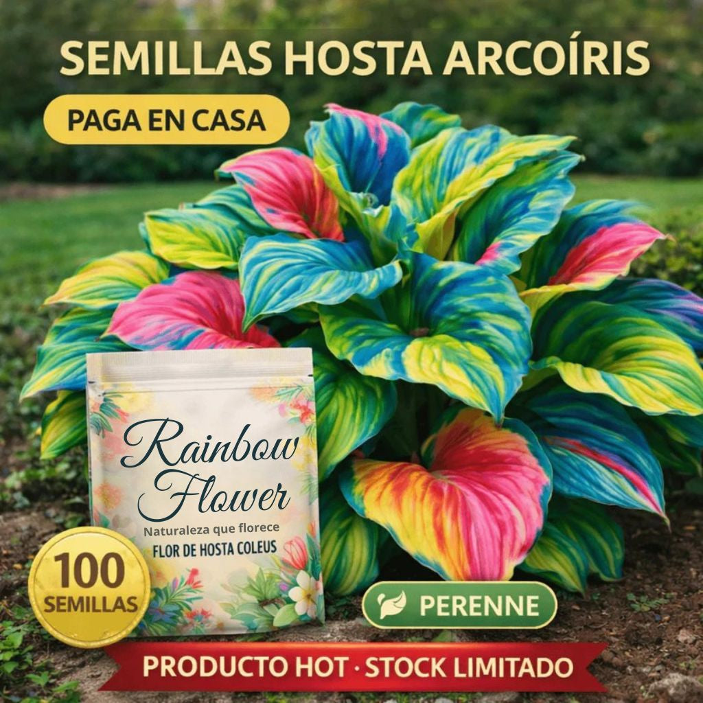 RAINBOW FLOWER™ SEMILLAS DE HOSTA CELUS