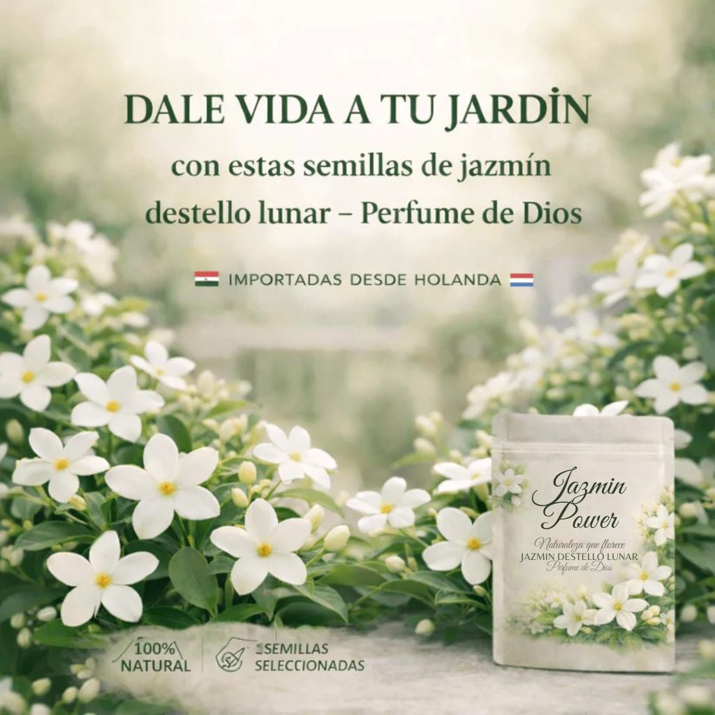 JAZMIN POWER™ SEMILLAS DE FLOR DE JAZMIN